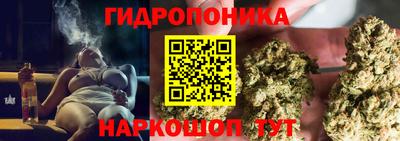 МДПВ Ипатово