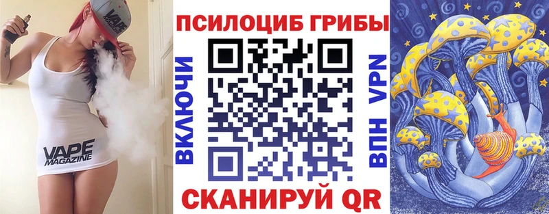 продажа наркотиков  кракен вход  мориарти какой сайт  Миасс  Псилоцибиновые грибы Psilocybine cubensis 
