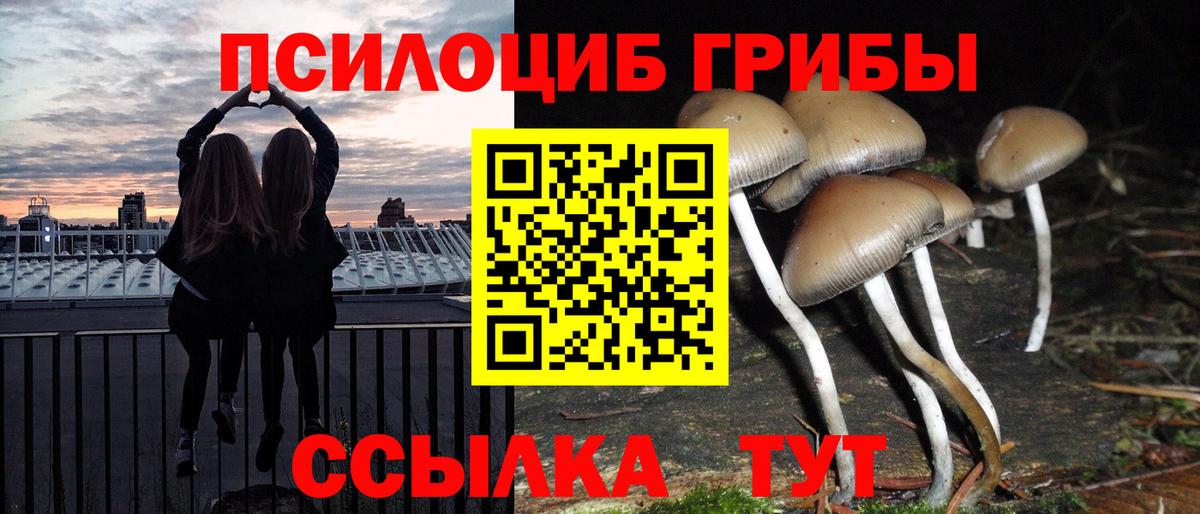 Псилоцибиновые грибы Psilocybe Миасс
